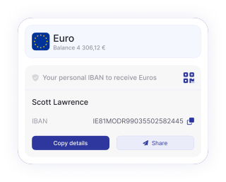 Image showing the euro account